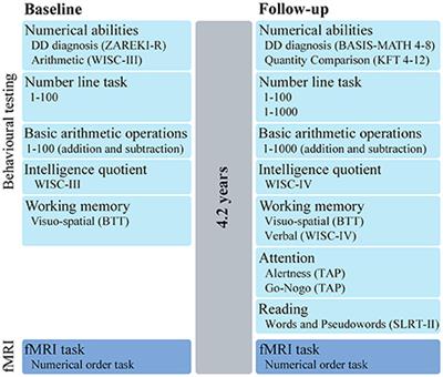 Longitudinal Brain Development of Numerical Skills in Typically Developing Children and Children with Developmental Dyscalculia